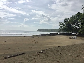 Le Cameleon Puerto Viejo