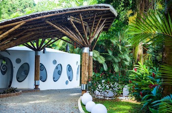 Le Cameleon Puerto Viejo