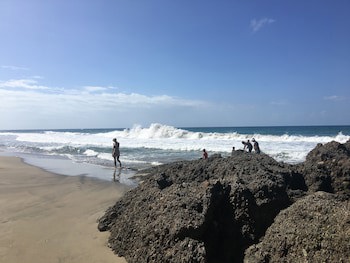Le Cameleon Puerto Viejo