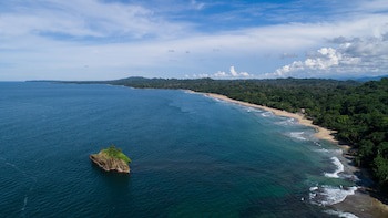 Le Cameleon Puerto Viejo