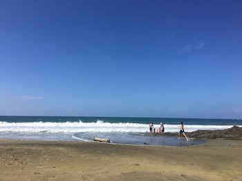 Le Cameleon Puerto Viejo