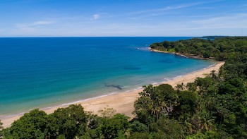 Le Cameleon Puerto Viejo