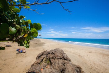 Le Cameleon Puerto Viejo