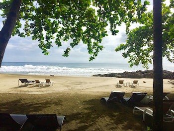 Le Cameleon Puerto Viejo