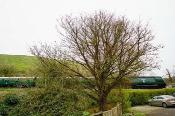 Bankes Arms Hotel