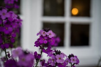 Findon Manor Hotel