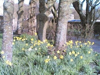 Carlton Seamill B&B