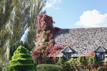 Old Swan