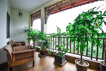 Almond Hotel Sothearos
