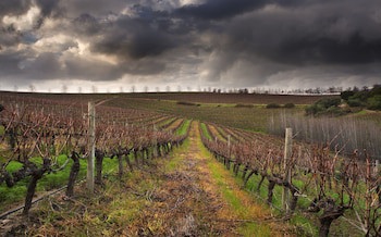 Asara Wine Estate & Hotel