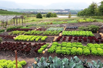 Asara Wine Estate & Hotel