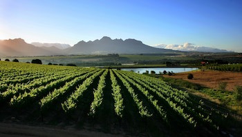 Asara Wine Estate & Hotel