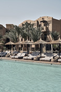 Cook's Club El Gouna - Adults Only
