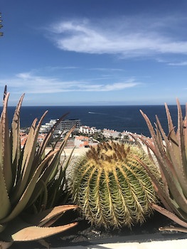 Apartamentos Vigilia Park