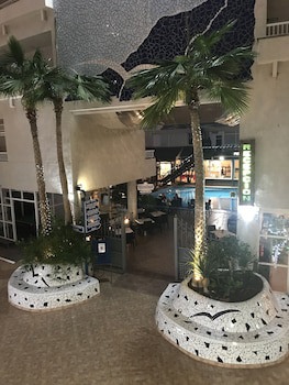 Apartamentos Vigilia Park