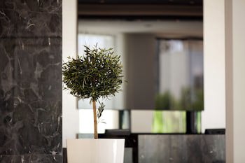 Christofinia Hotel galeri fotoğrafı