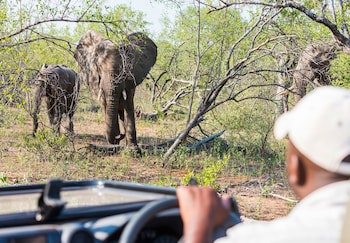 Aha Makalali Private Game Reserve