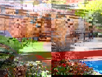 Eski Masal Hotel - Special Class