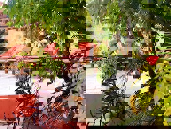 Eski Masal Hotel - Special Class