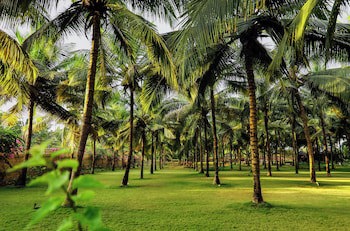 Blue Ocean The Fern Resort & Spa, Ganpatipule