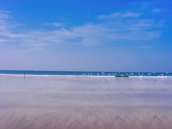 Blue Ocean The Fern Resort & Spa, Ganpatipule