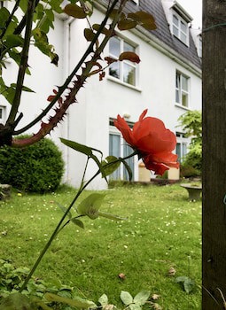 Belvedere Lodge