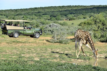 Shamwari Long Lee Manor