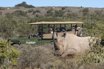 Shamwari Long Lee Manor