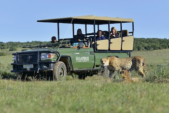Shamwari Long Lee Manor