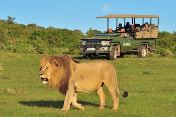 Shamwari Long Lee Manor