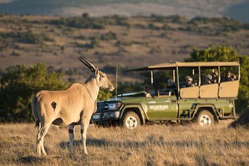 Shamwari Long Lee Manor