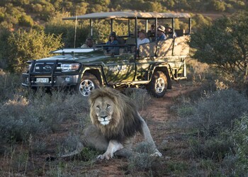 Shamwari Long Lee Manor
