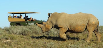 Shamwari Long Lee Manor