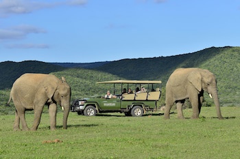 Shamwari Long Lee Manor