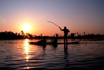 Divava Okavango Resort & Spa