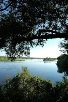 Divava Okavango Resort & Spa