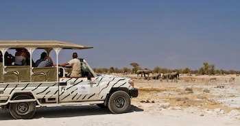 Etosha Safari Lodge