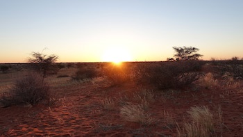 Kalahari Anib Lodge