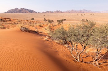Sossusvlei Lodge