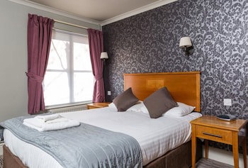 Dog & Bear Hotel
