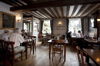 Dog & Bear Hotel