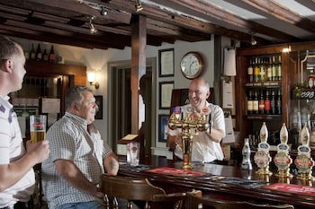 Dog & Bear Hotel