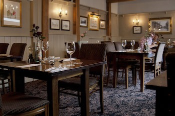 Dog & Bear Hotel