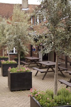 Dog & Bear Hotel