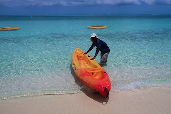 Windsong On The Reef