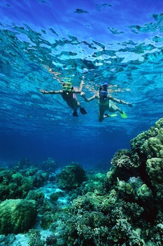 Windsong On The Reef
