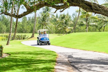 Barcelo Bavaro Palace