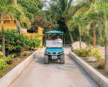 Belizean Cove Estates