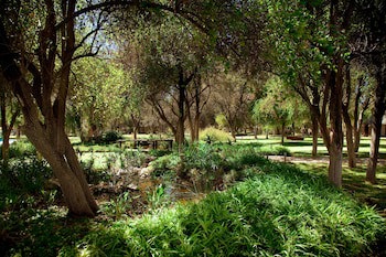 Mokuti Etosha