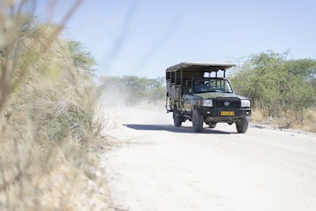 Mokuti Etosha